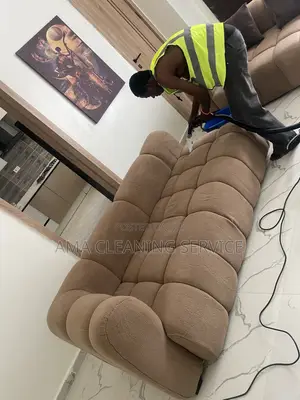 Bring Your Sofa Back to Life, Fresh,Clean and Spotless