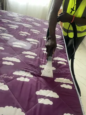 Give Your Bed a Fresh and Spotless Look With Our Professional