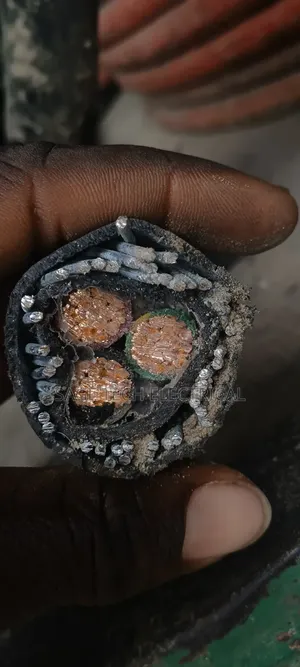 95mm 3core Armoured Cable Nigerchin