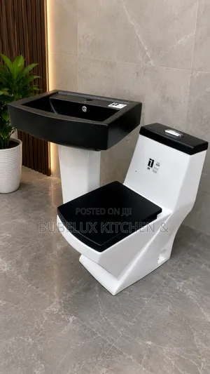 Luxury Black White One-Piece Toilet Pedestal Wash Hand Basin Set