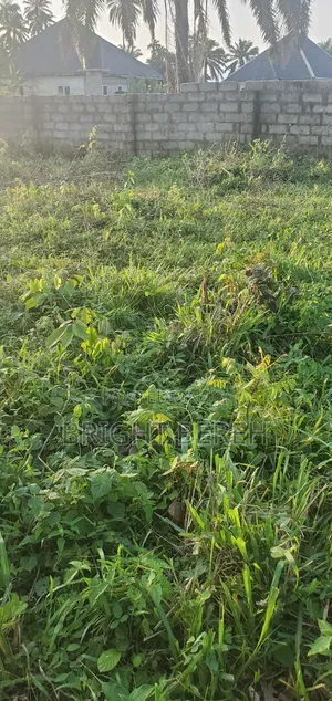 2 Plots of Land With Fence for Sell at Omagwa Agwawirie Pipeline