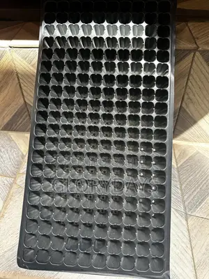 Plastic Seedling Nursery Tray