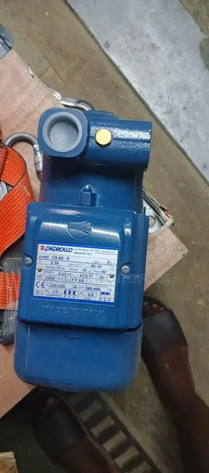 1hp Italy Pedrollo Copper Coil Pump
