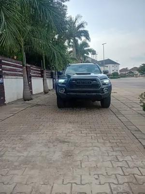 Toyota Tacoma 2019 Gray