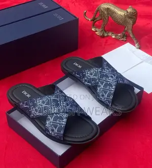 Dior Print Leather Slipers 40-46 Available in Blue and Black