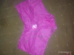 Women's Lace Sexy Lace Pattern Brief, Transparent Panties