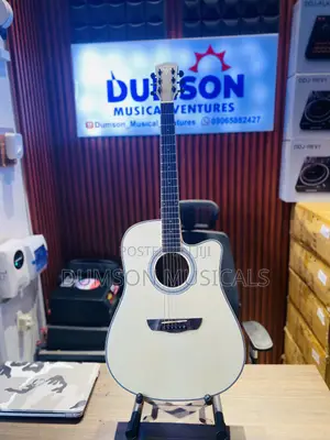 Bullfighter Electro Acoustic Guitar