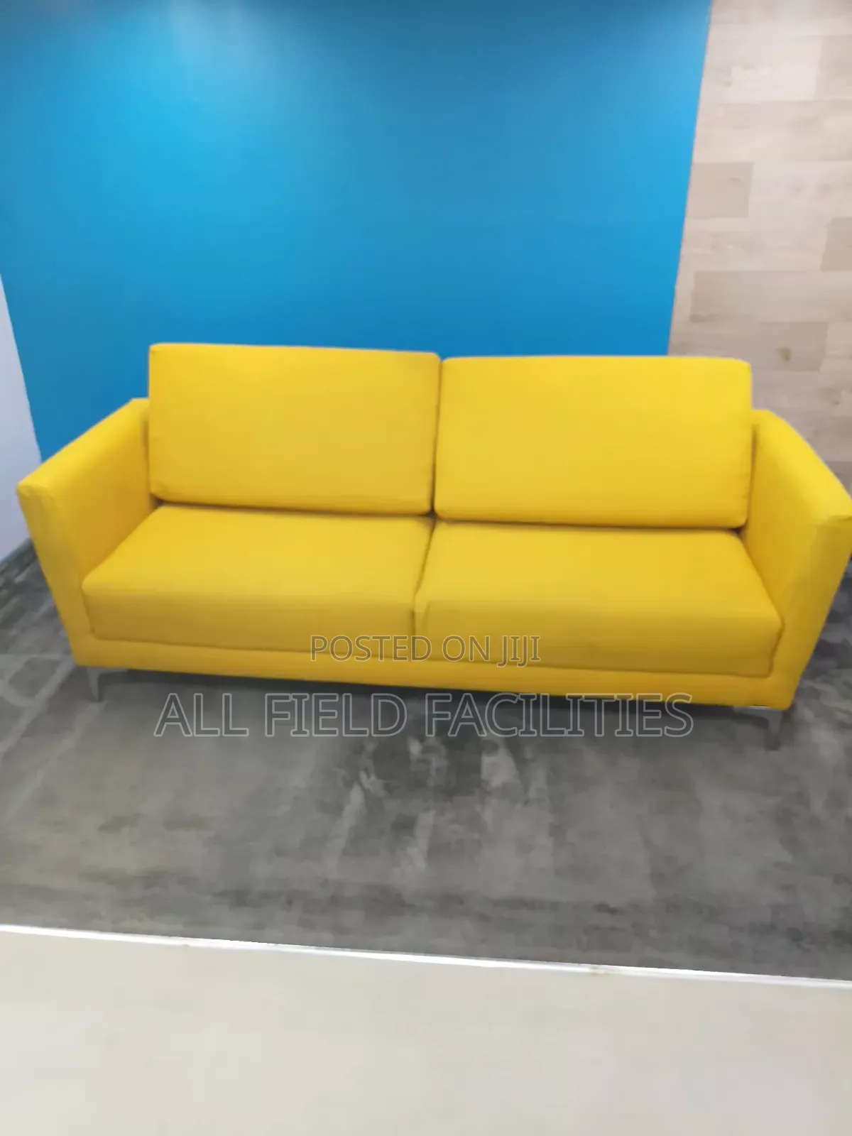 Professional Upholstery Shampoo Cleaning