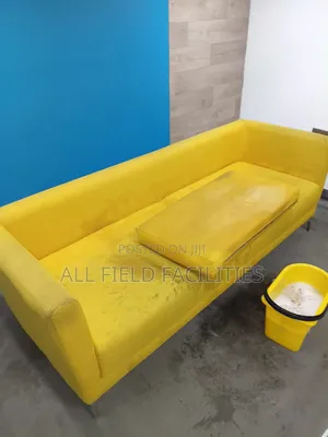 Professional Upholstery Shampoo Cleaning