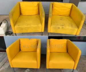 Professional Upholstery Shampoo Cleaning
