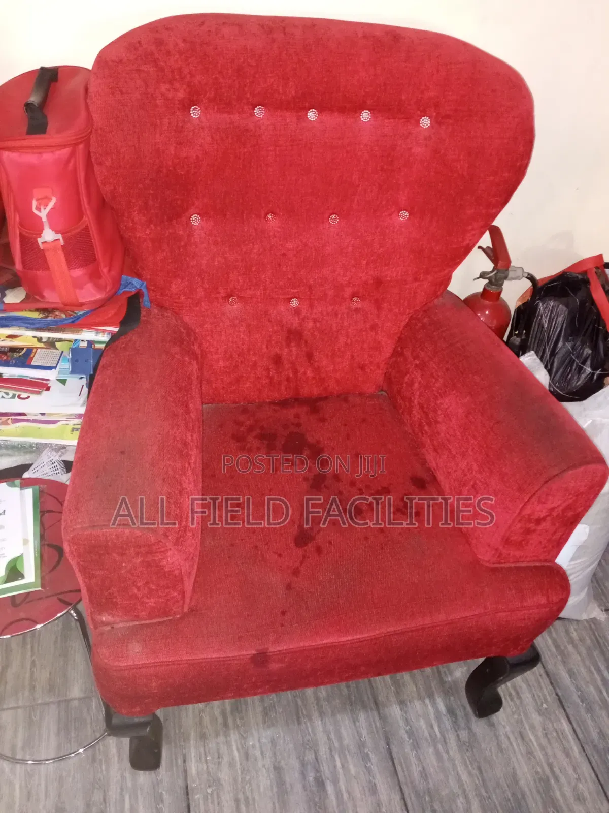 Professional Upholstery Shampoo Cleaning
