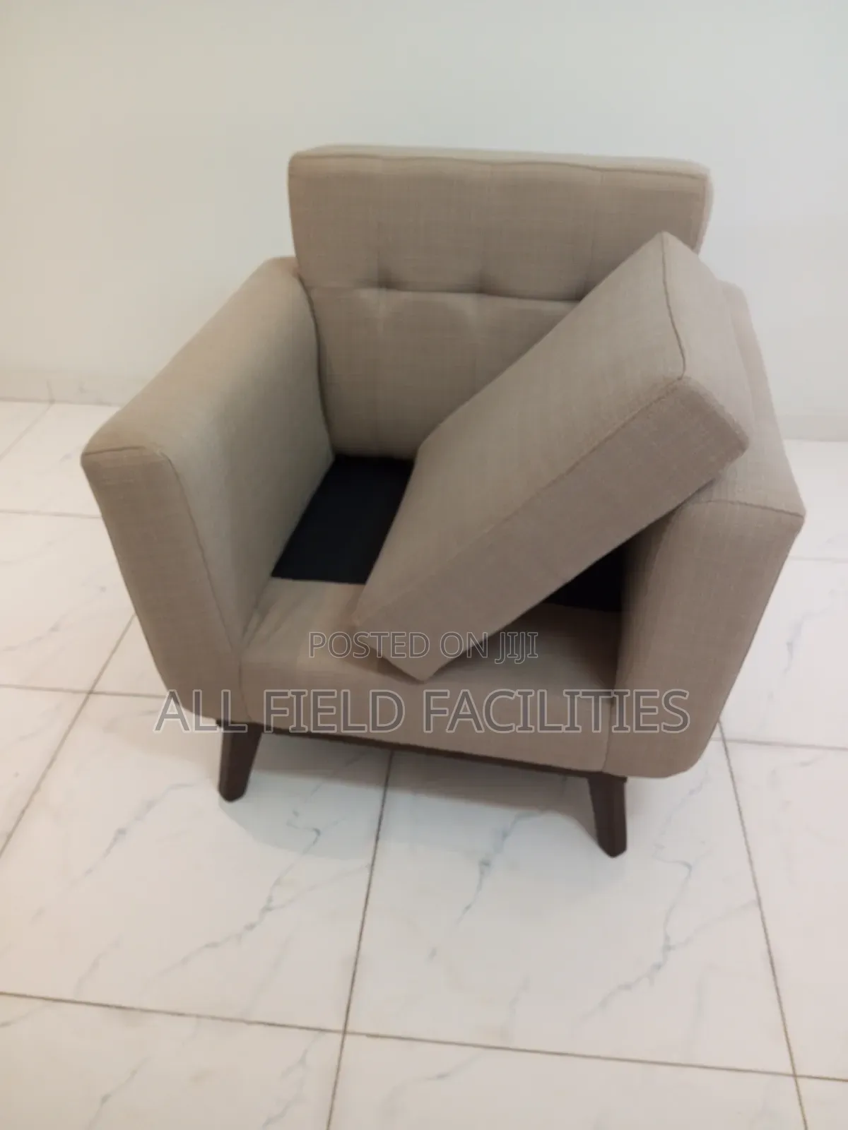 Professional Upholstery Shampoo Cleaning