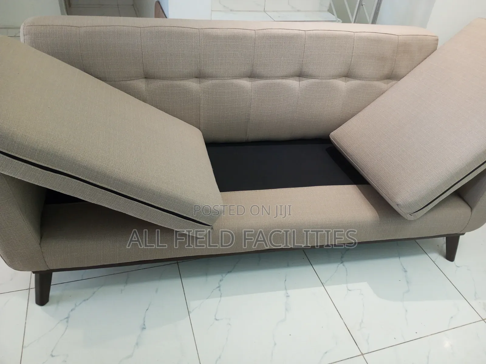 Professional Upholstery Shampoo Cleaning