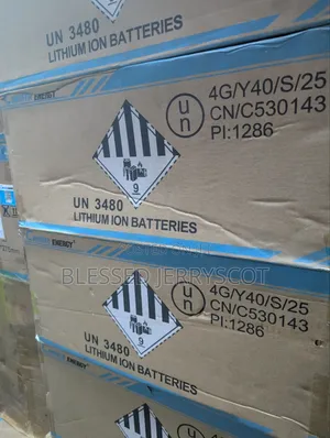 Cworth Energy 2.5kwh 24v Lithium Ion Solar Inverter Batteries in Stock