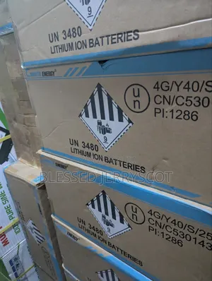 Cworth Energy 2.5kwh 24v Lithium Ion Solar Inverter Batteries in Stock