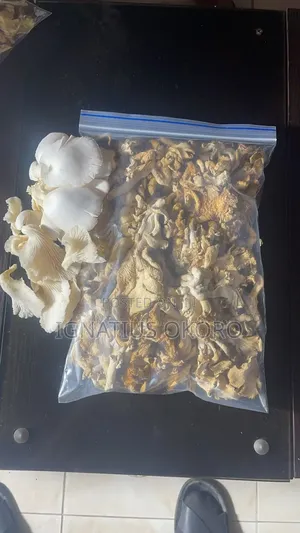 Dried Oyster Mushroom