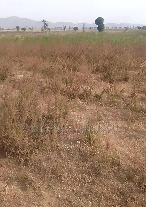 Land Property