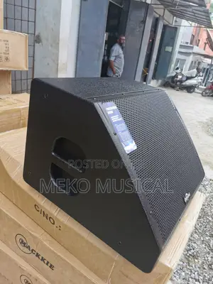 12 Inches Feedback Monitor Speaker