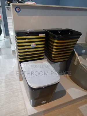 Quality Black and Gold Line Water Closet With Wall Hung Basin