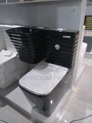 Executive Black Line Water Closet With Wall Hung Basin