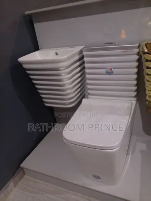 Executive White and Grey Line Water Closet With Wall Hung Basin