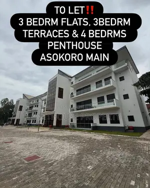 Furnished 3bdrm Duplex in Asokoro Main for rent