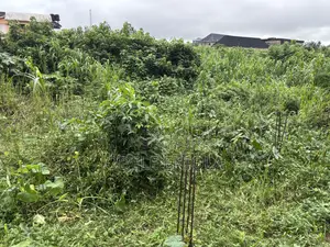 Half Plot of Land Available for Sale