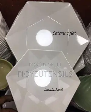 Unbreakable Flat and Bowls Plates
