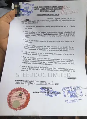 Court Affidavit