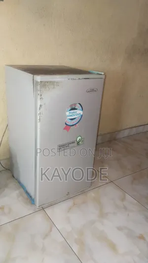 Haier Thermocool Energy Saving Fridge