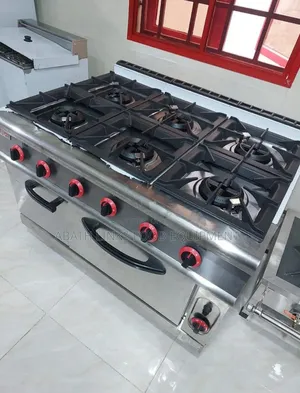6 Burners Gas Cooker With Oven