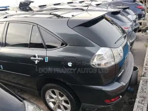 Lexus RX 2009 Gray