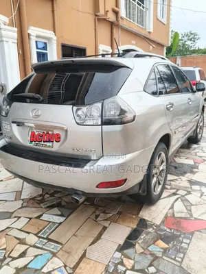 Lexus RX 2008 Gray