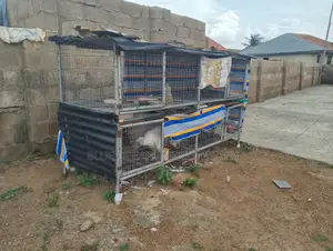 Cage for Chicken, Turkey, Rabbits, Etc