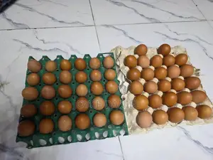 Fresh Eggs For Wholesale Prices