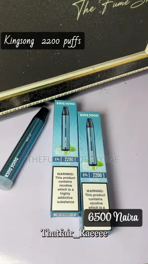 2,500 Puffs Disposable Shisha Pen