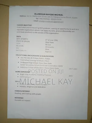 My Name Is Olusegun Kayode Micheal , a Dedicated an Hardworking Guy