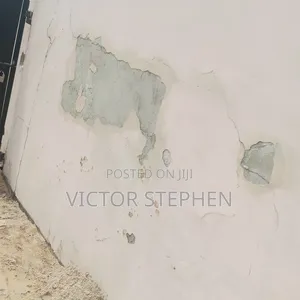 Mould Correction,Damp Wall , Painting
