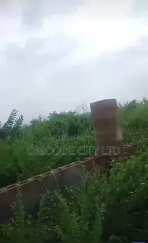 Real Estate Land for Company, Warehouse and Trailer Park