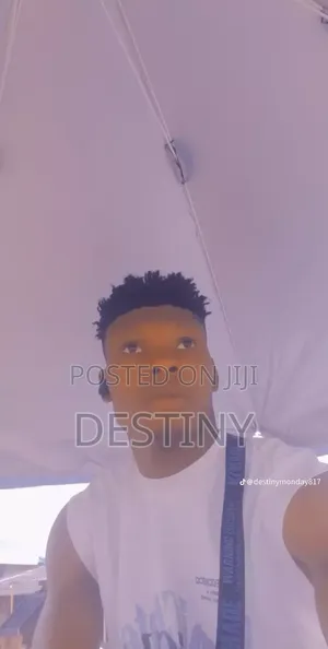 Mr Destiny