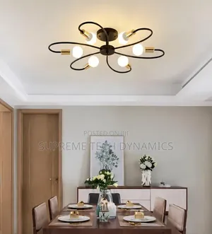 Ceiling Light