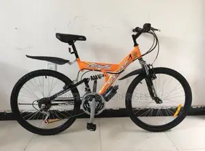Adult Bicycle