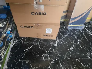 Casio Lamp Free Projector
