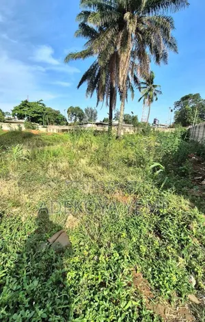 Plots Of Land For Sale At Iyana Iyesi Ota After Winner Church