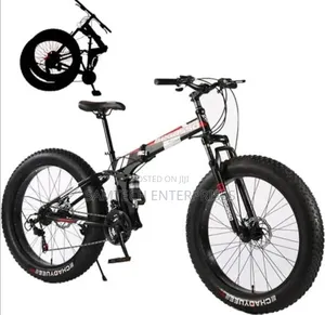 Adult Bicycle