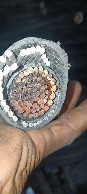 500mm Single Core Armored Cable