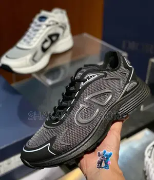 Original Dior B30 SNKS Reflective White Technical Mesh Ash Black