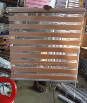 Gray Window Blinds