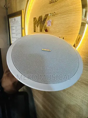 Ceiling Speaker