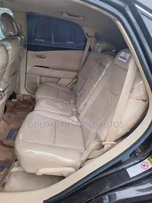 Lexus RX 2010 Gray